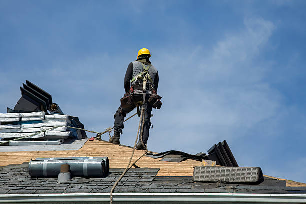 Professional Roof Replacement technician working in Amboy, IL